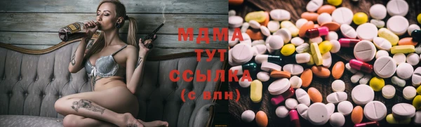 индика Инсар