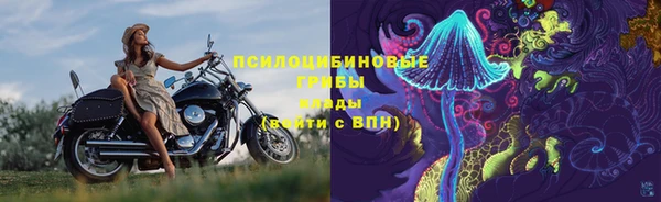 индика Инсар