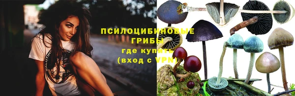 индика Инсар