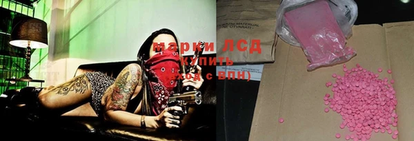 индика Инсар