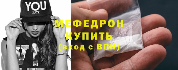 индика Инсар
