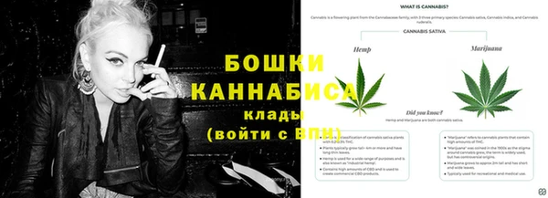 индика Инсар