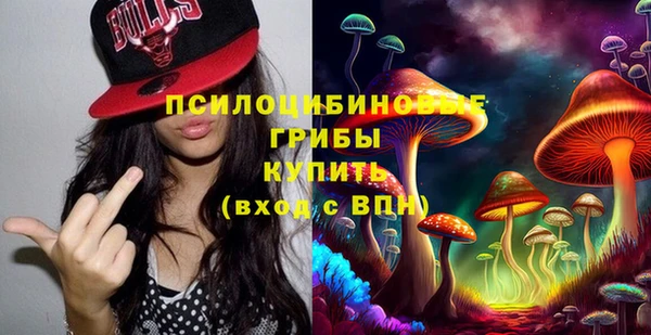 индика Инсар