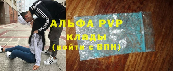 индика Инсар