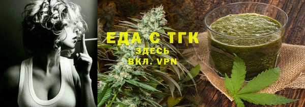 индика Инсар