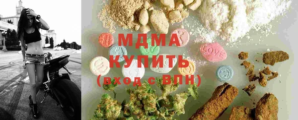 индика Инсар