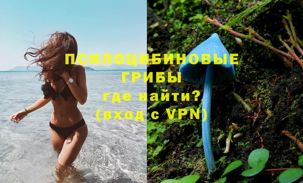 марки lsd Инта