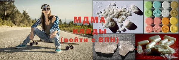 индика Инсар