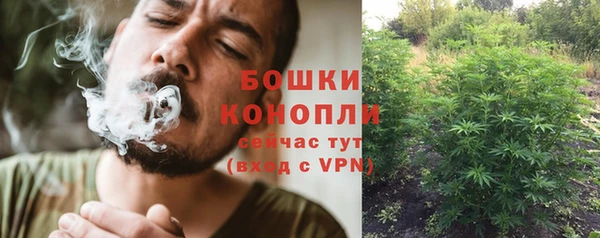 ALPHA PVP Иннополис