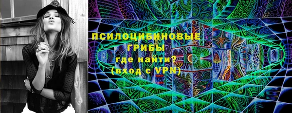 индика Инсар