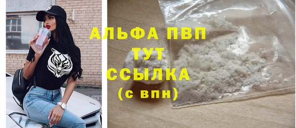 индика Инсар