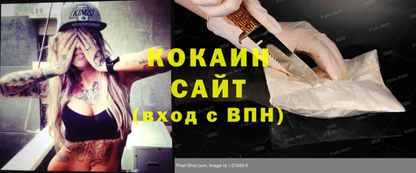 индика Инсар