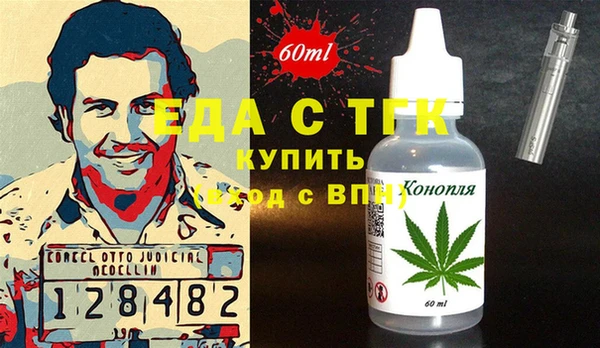 индика Инсар