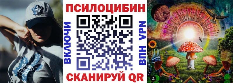 Псилоцибиновые грибы MAGIC MUSHROOMS  Купить закладки  Николаевск 